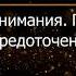 Брюс Алан Уоллес Глава 15 Революция внимания Пробуждение силы сосредоточенного ума