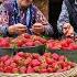 First Strawberry Harvest Of The Year Making Strawberry Cake Jam