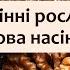 Біологія 7 клас Балан 26 Насінні рослин Будова насінини