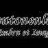 Das Teutonenlied Umbra Et Imago