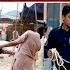 When Will Eid Ul Adha Be Celebrated In Pakistan ARY News 5 AM Headlines 23rd May 2025