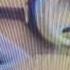 Ted Minion Crying