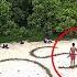 Coast Guard Spots Movement On Remote Island Looks Closer Screams God No