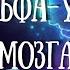 Метод Хосе Сильвы Альфа Уровень Глубокая Релаксация и Визуализация