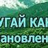 Попугай какапо история восстановления популяции