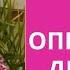 ВСЕ ПРОБЛЕМЫ В ВАС ТАК ЛИ ЭТО НА САМОМ ДЕЛЕ Екатерина Эрлих