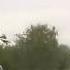 2009 Mercedes ML 320 Crashed By Idiot Truck Driver
