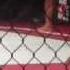 Kevin Lee Vs Mansour Barnaoui Round 2
