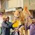 Lo Agai Qurbani Amanpaniwala Qurbani Shortvideo Viralvideo Tending