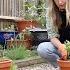 A WEEK IN MY SMALL LONDON GARDEN COOKING AND PLANTING
