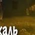 Скрябін Чи тобі не жаль Lyric Video