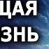 Результат за 1 день Эта МЕДИТАЦИЯ изменит вашу жизнь Аффирмации Джо Диспенза