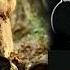 Sultan Salahuddin Ayubi Season 2 Back Ground Music Kudüsfatihiselahaddineyyubi