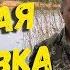 Ловим карася на Жору и Звездочку