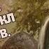 Культура белорусских земель в составе ВКЛ XIV XV вв История Беларуси ЦТ ЦЭ 6 класс