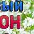 Вот Сборник Обалденные красивые Шансон песни для души