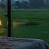 The Sound Of The Rain Moaning And The Cold Night Made You Fall Asleep Soundly