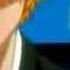 The Animal Ichigo Has Become