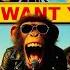 Heizer Monkeys Feat Smudo Need Your Nürburgring 24 Video Footage