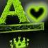 I LOVE AAAA