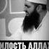 МИЛОСТЬ АЛЛАХА БЕЗГРАНИЧНА