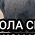 ANDIJON XO JAOBOD MOL BOZOR NARXLARI