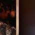 Kelsey Grammer S Daughter Slashed While Confronting A Drunk Man