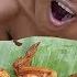 Survival In The Rainforest Cooking Chicken Wing Recipe In Forest And Eating
