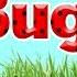 10 Interesting Insects Insects For Kids Bugs For Kids