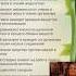 Чем полезны огурцы огурец огурцыназиму огурчики огурцывтеплице огурчик