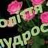 ЛЮБИЙ СИНУ З ДНЕМ НАРОДЖЕННЯ ТЕБЕ