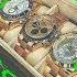 Rollie On My Wrist