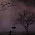 Umbrella Rihanna Ft Jay Z Epic Orchestral Cover