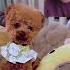 Cute Comedy Powerbankapp Haveitoldyoulatelythatiloveyou Comedymovies Facts