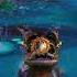 квест Пропавшие Охотники квест Экстремальные Методы Переработки Shadowlands World Of Warcraft
