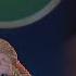 The Ever So Versatile Singer Christina Gives Her Best Shot World S Got Talent 2019 巅峰之夜