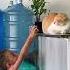 Boy Teases Cat Gets Instant Payback