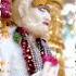 Jain Whatsapp Status Po Satam Status Dada Gurudev Status Jainstatus Ytshorts Jainwhatsappstatus