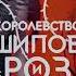 Сара Дж Маас Королевство шипов и роз сараджмаас