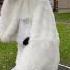 The Secret Behind Giant Mascot Costumes Shortsvideo Shorts