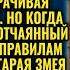 Тупая овца ты обязана мне платить Свекровь заявила что невестка должна содержать её до конца дней