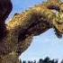 King Ghidorah Roar 1964