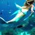 Mermaid Swims With Love A Mermaid Mom S Magical Journey Mermaid Trending Viralshort
