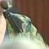 Witnesses Testify Against James Ray