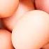 How To Boil An Egg