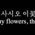 The Flower Girl 꽃 파는 처녀 English Translation North Korean Songs In English