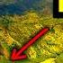Everyone Wants To Live In Hawaii Until They Learn This