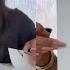 Ciara Signing The Inserts For Her New Album CiCi Vinyls