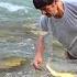 Mr Qorboun And The Kids A Journey To The World Of Fish Exciting Games By The Water