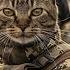 Cats And Dogs World War 1 Made By AI
